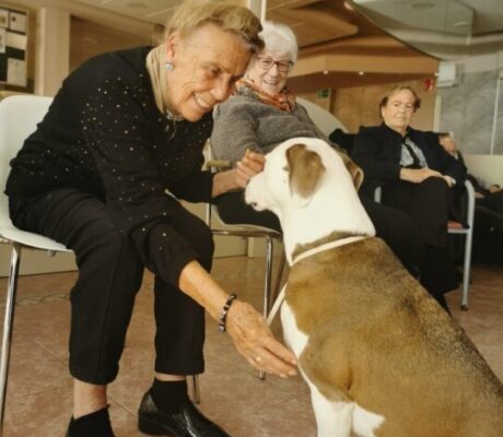 terapia con perros